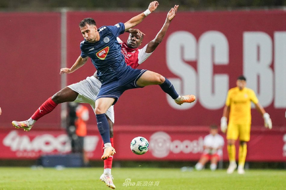 的强势领衔 的强势领衔